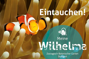 Wilhelma – Zoologisch-Botanischer Garten in Stuttgart